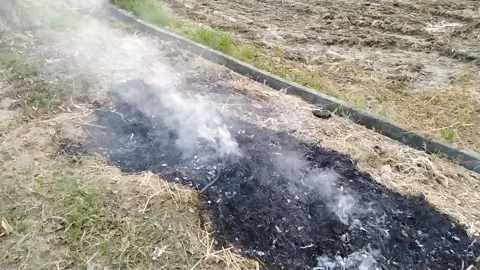 Beautiful ever view of fire smoke in the field. Stock Footage 142885304
