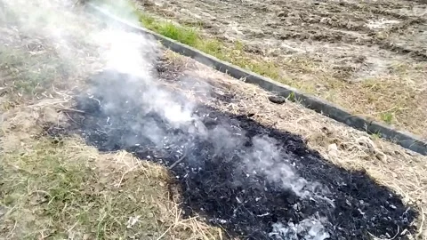 Beautiful ever view of fire smoke in the field. Stock Footage 142885386