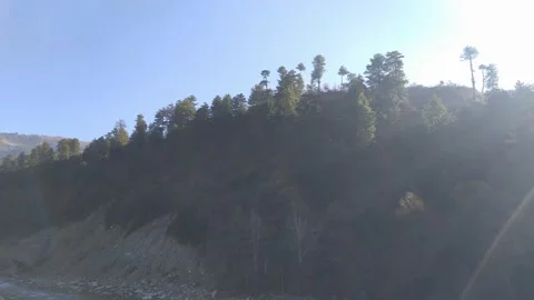 Beautiful ever view of Pine tree in Himalaya. Stock Footage 270776175