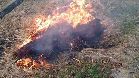 Beautiful ever view of straw fire in the field. Stock-Footage 142732309