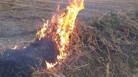 Beautiful ever view of straw fire in the field. Stock-Footage 142885055