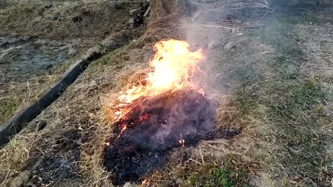 Beautiful ever view of straw fire in the field. Stock Footage 142885095