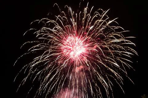 Beautiful exploding fireworks in the night sky Stock Photos