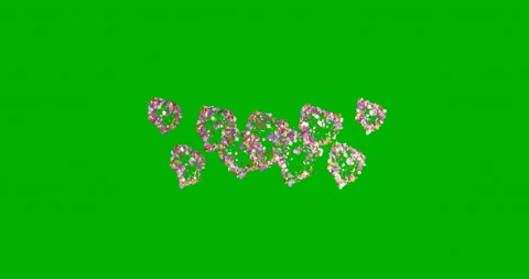 Beautiful explosion of confetti on a green background. Stock Footage 118084762
