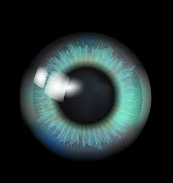 Beautiful eyeball Stock Illustration