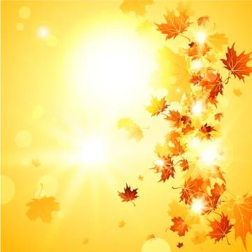 Beautiful fall background  with falling leaves Stock Illustration