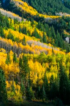 Beautiful fall background Stock Photos