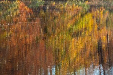 Beautiful Fall Colors Create Reflective Texture Pattern On Lake Surfacee Foto stock