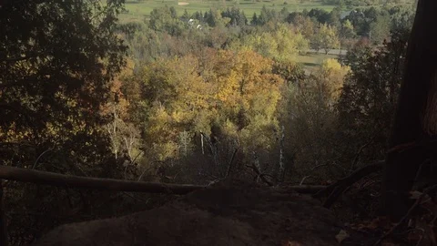 Beautiful fall colours out in the countryside. Stock Footage 81925009
