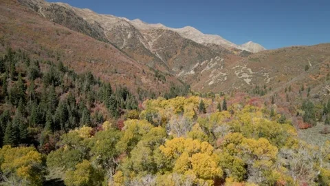 Beautiful Fall Foliage over Mount Nebo Stock Footage 221381426
