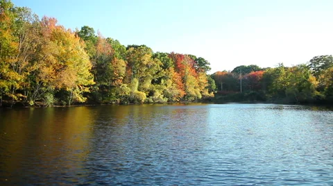 Beautiful fall foliage overlooking a pond, Maine, wide shot Stock Footage 43251278