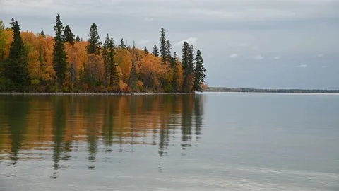 Beautiful fall forest is reflecting in a pond with small waves creating patterns Vídeo Stock 139822413