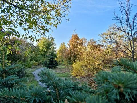 A Beautiful Fall Landscape In The Park Stock Photos
