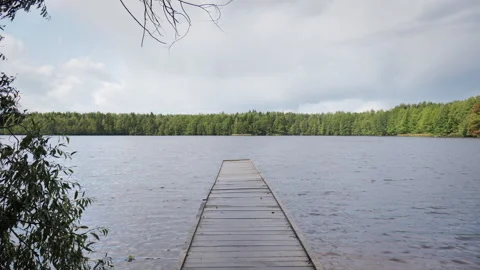 A beautiful fall landscape on a pier by a forest lake 動画素材 220564739