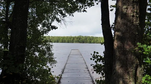 A beautiful fall landscape on a pier by a forest lake Stock Footage 220671208