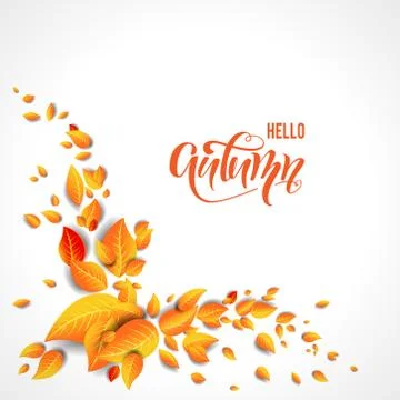 Beautiful fall leaves Stock Illustration