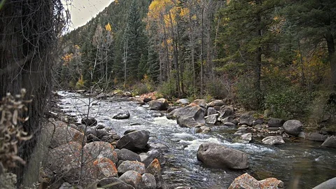Beautiful Fall River Left Side View Aspen, CO Stock Footage