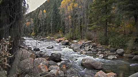 Beautiful Fall River Left Side View Aspen, CO Video stock 88891079