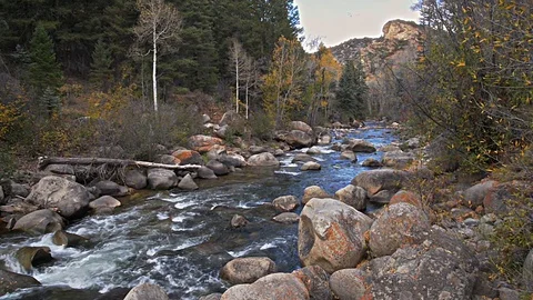Beautiful Fall River Right Side View Aspen, CO Video stock 88891133