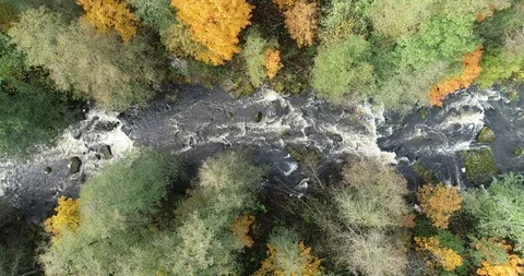 Beautiful fall river with rocks and trees. Stock Footage 117354071