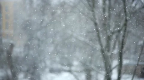 Beautiful falling snow Stock Footage 61714452