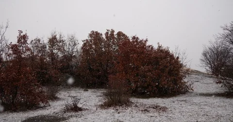 Beautiful falling snow - view from the window_4K Stock Footage 126965760