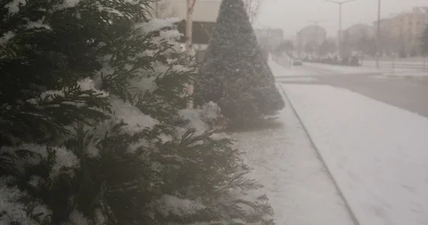 Beautiful falling snow_4K Stock Footage 126965412