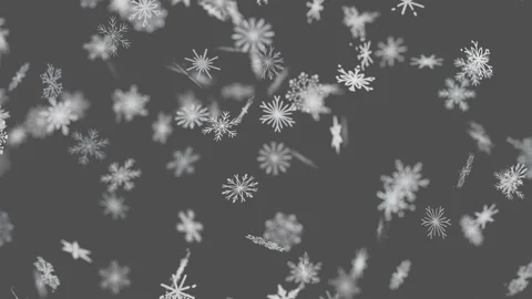 Beautiful falling white snowflakes create a serene winter holiday Vidéo 346919060