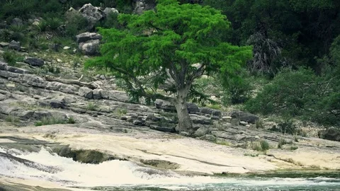 Beautiful falls  and lone tree in Texas Hill Country 库存影片 75589284