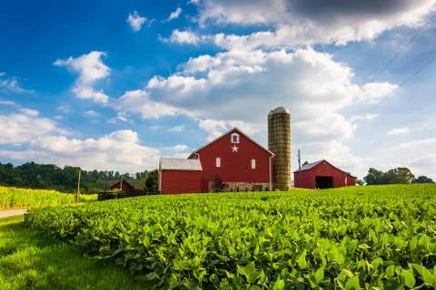 Beautiful farm field and barn on a farm near spring grove, pennsylvania. Stock Photos