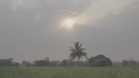 Beautiful Farm In India Stock Footage 272465445