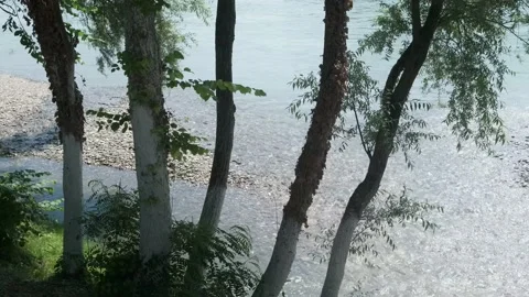 Beautiful fast and clean river flowing. Slow motion footage in 4k. Stock Footage 156901719
