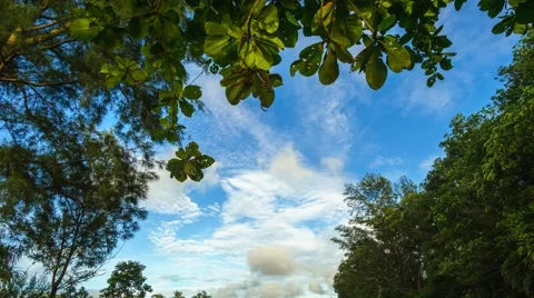 Beautiful Fast Moving Clouds And Blue Sky, Timelapse Video stock 53846314