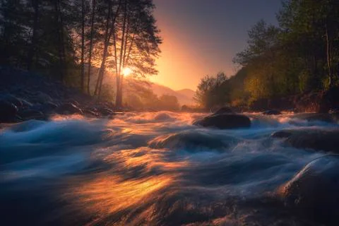 Beautiful fast river in mountain forest at sunrise Stock Photos