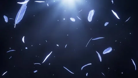 Beautiful feathers fall in a seamless and continuous cycle. Vidéo 317092303