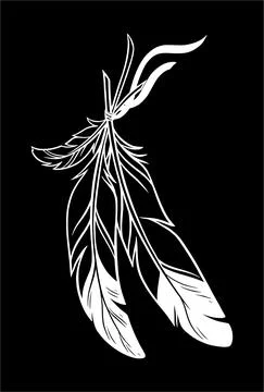 Beautiful feathers. vector illustration Stock Illustration