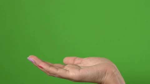 Beautiful female hands opens empty palm as if showing virtual object 4k Vídeo Stock 115083415