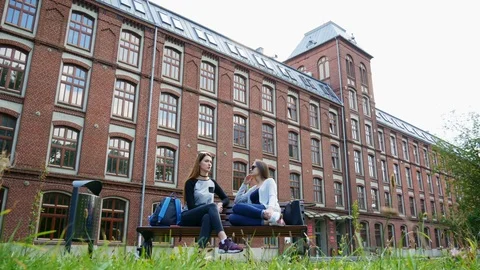 Beautiful female students chatting while sitting on bench in campus park before Stock Footage 116544388