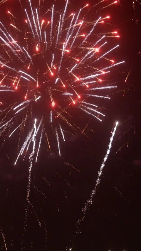 A beautiful festive fireworks display. Stock Footage 321833095