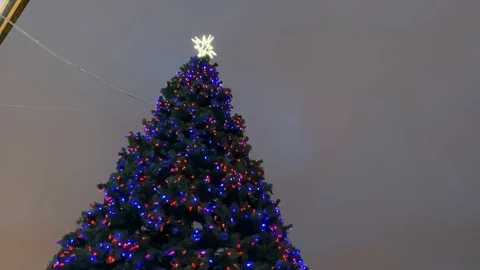 Beautiful festive New Year tree Stock Footage 119754866