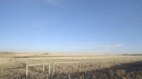 Beautiful field in Alberta Video stock 145273209