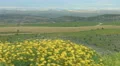Beautiful field with flowers, hills, amazing landscape panorama, natural beauty 4k or 4k+ Resolution