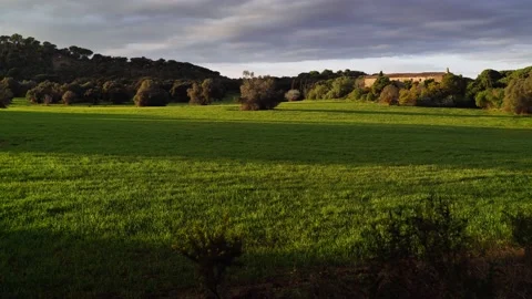 Beautiful field landscape in the rays of the setting sun. Golden hour in the Stock Footage 147329344