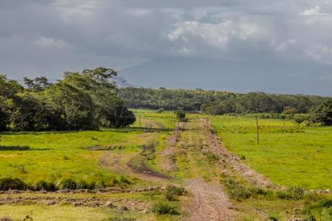 Beautiful field. Stock Photos