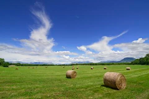 Beautiful field 스톡 사진
