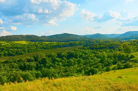 Beautiful fields against the backdrop of mountains and blue sky with clouds. Stock Photos