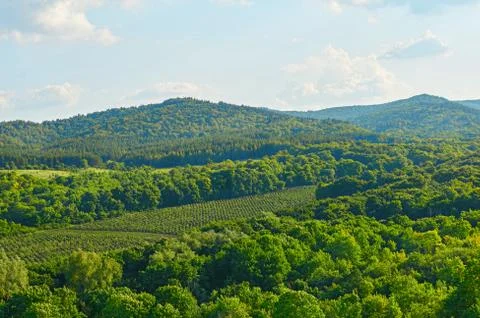 Beautiful fields against the backdrop of mountains and blue sky with clouds. Stock Photos