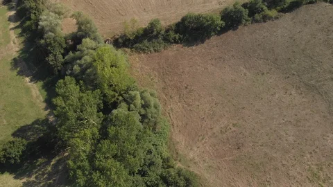 Beautiful fields by drone. Stock Footage 105550604