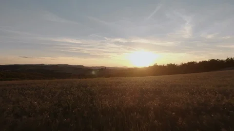 Beautiful fields by drone. Stock Footage 105551149