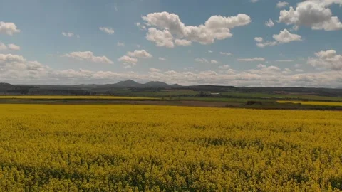 BEAUTIFUL FIELDS Stock Footage 154972848